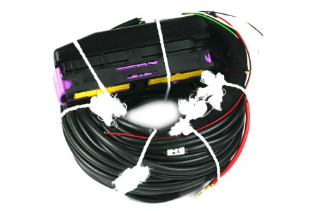 Landi Renzo Omegas DIRECT 4 cylinder wiring harness