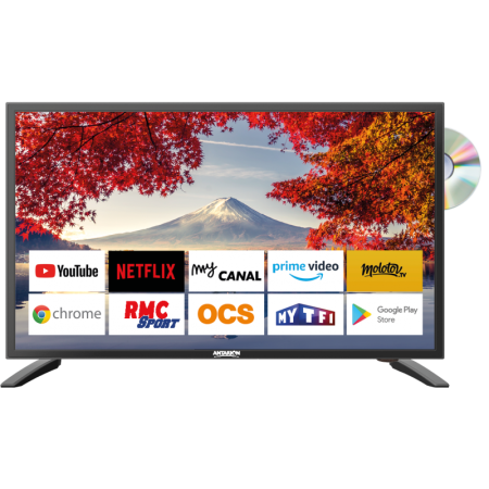 Antarion Smart TV Fernseher 19 Zoll DVBT-2 +DVD 12 / 24 / 220 V