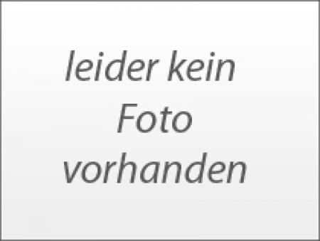 Faber CNG Druckbehälter D.356 x L1080 85 L